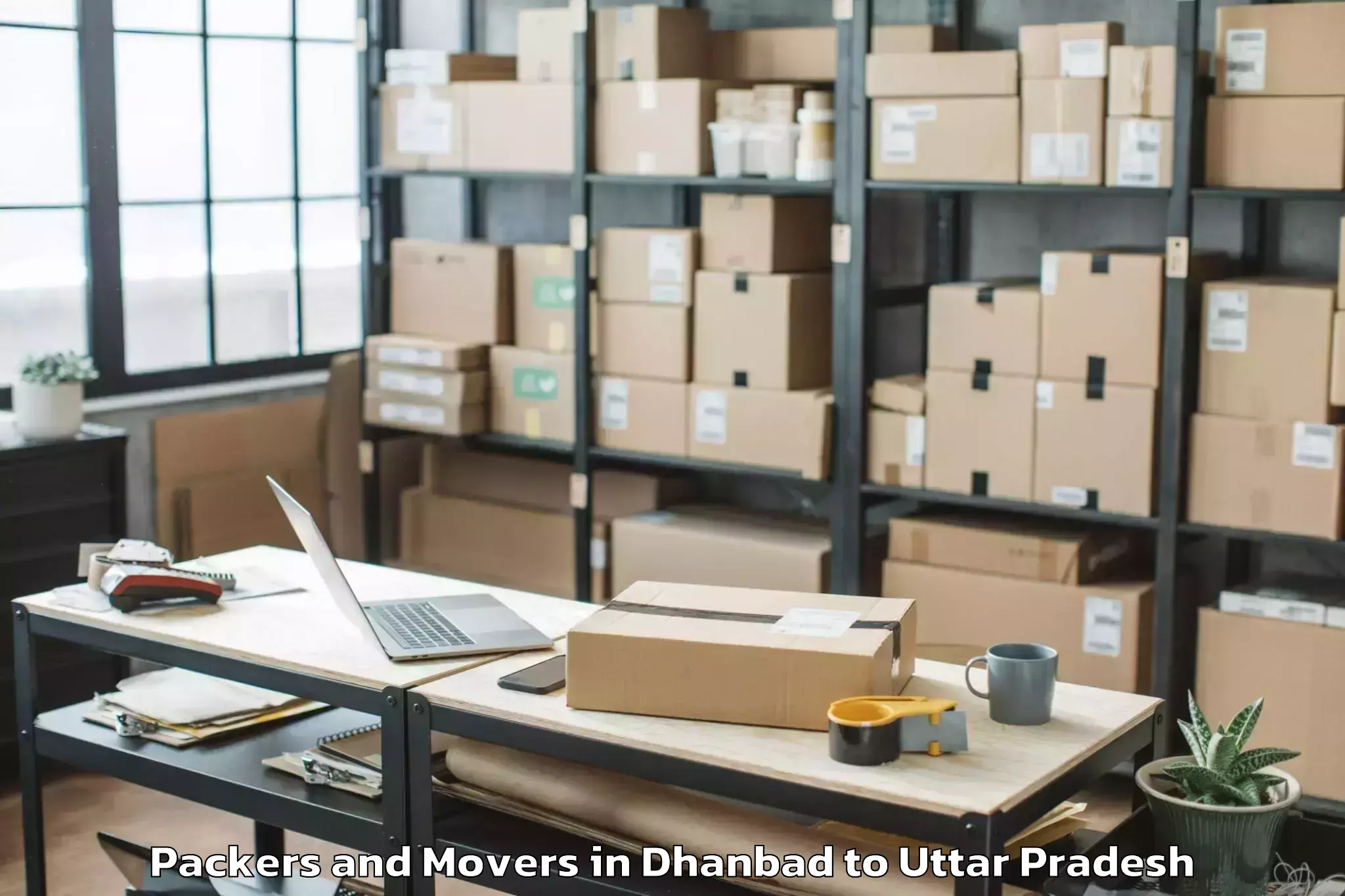 Expert Dhanbad to Patti Pratapgarh Packers And Movers